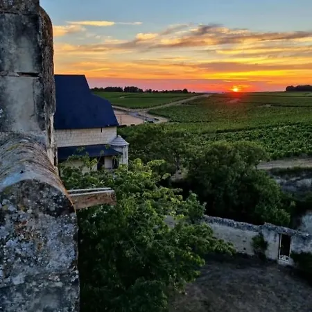 펜션 Le De La Forteresse De Berrye Berrie